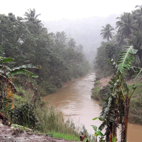 River and forest on Phlippines