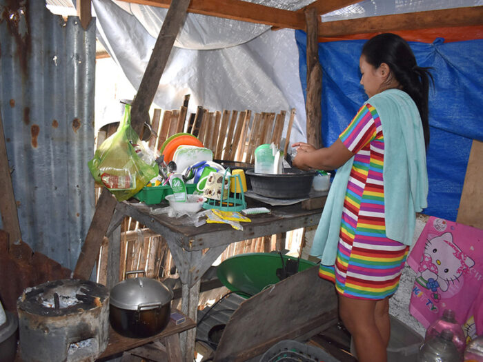 A woman in a kitchen